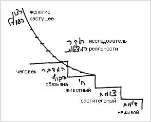 2009-05-03__bs-shivha-tirash-gvirta_lesson_ny_01.jpg